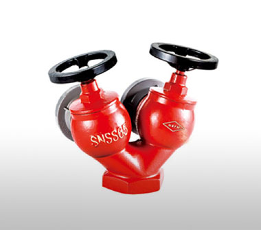 SNSS65雙閥雙出口室內消火栓